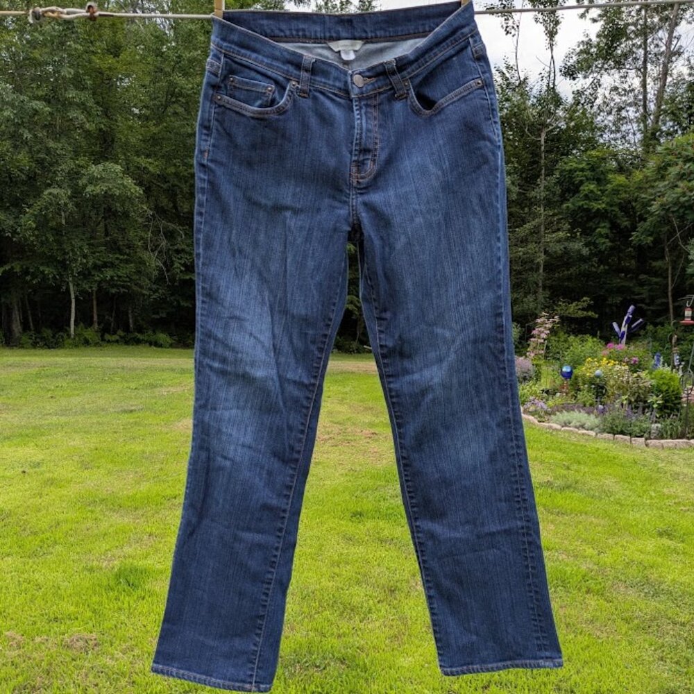 2 For $5! Garnet Hill Stretch Straight Leg Jeans